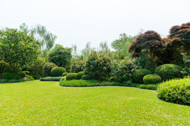 Scenic View of a Beautiful Landscape Garden with a Green Mowed Lawn