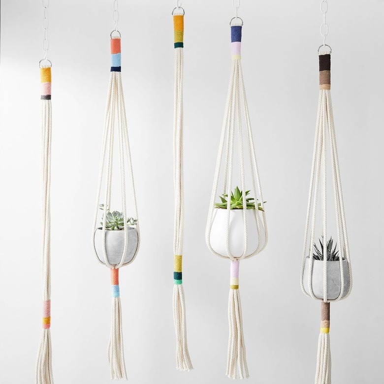 West Elm plant hangers