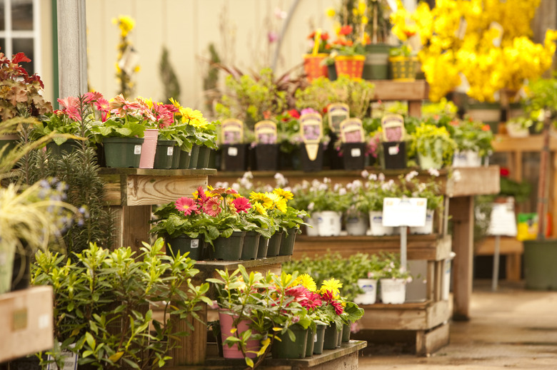 Flower Store