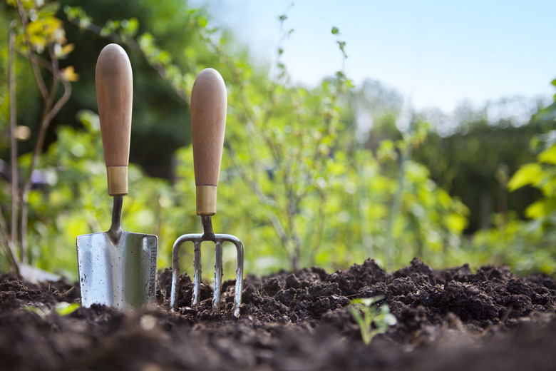 Gardening Hand Trowel and Fork Standing in Garden Soil