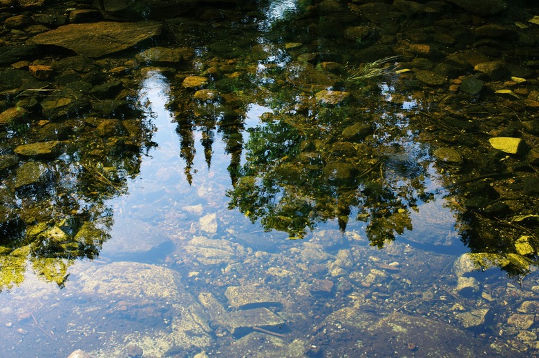 Cabinscape lake