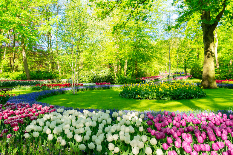 fresh lawn with flowers