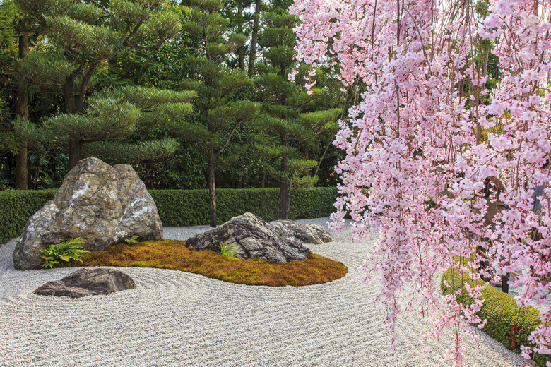 Japanese garden and cherry blossom