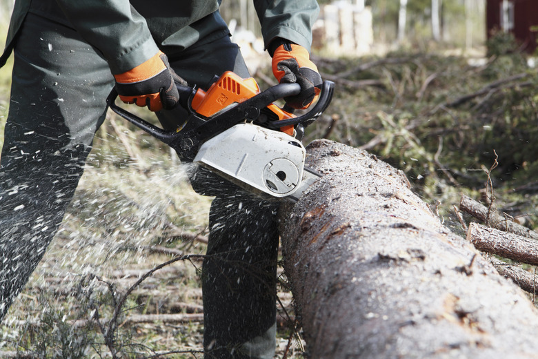 Man sawing tree