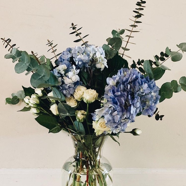 blue trader joe's flower arrangement