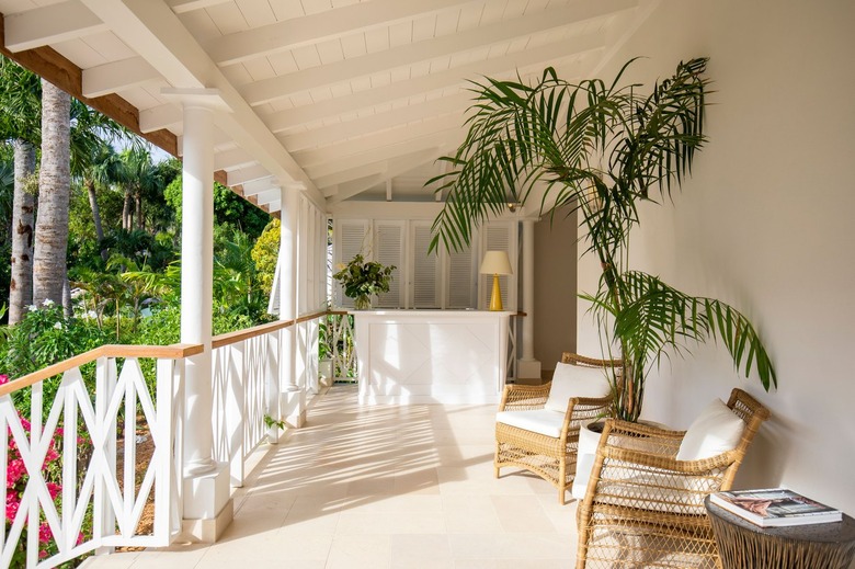 outdoor area with chairs and a plant