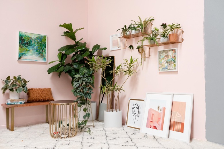 room with pink wall and plants and artwork