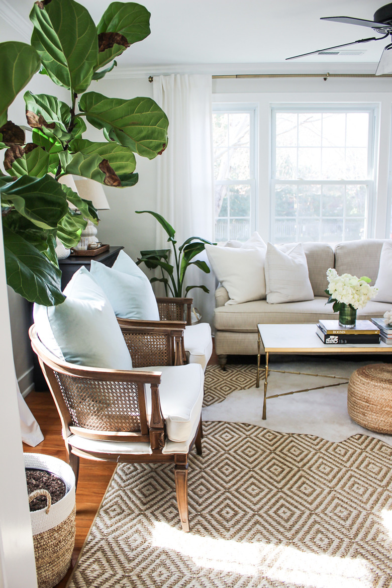 tropical living room with texture