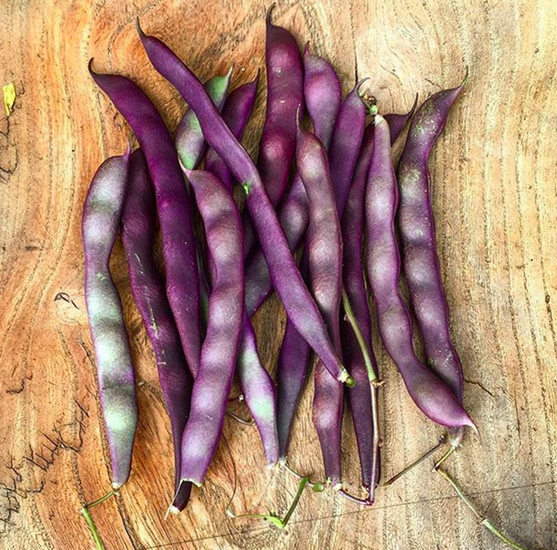 Easy Summer Vegetables to Grow on a Balcony