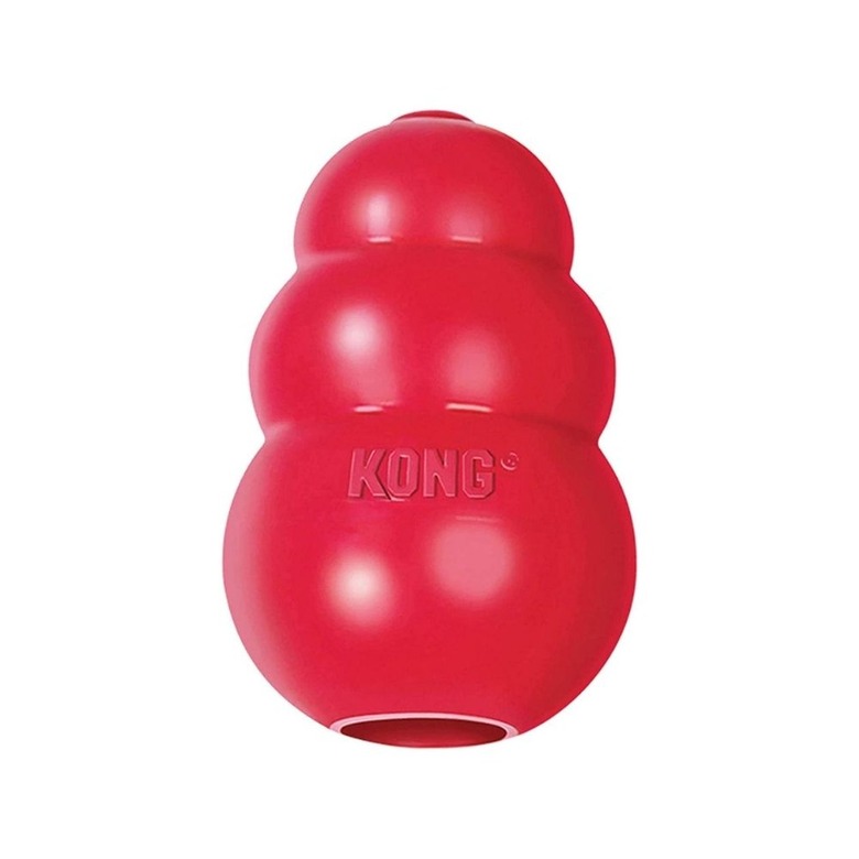 kong dog toy