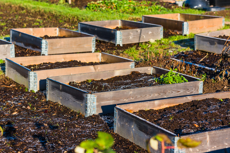 Frosty soil in pallets