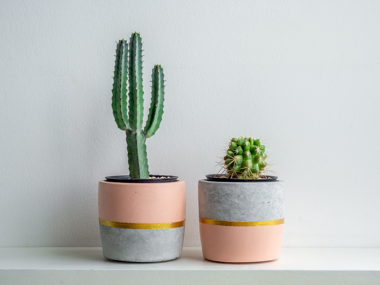 Modern geometric concrete planter. Beautiful concrete pot.