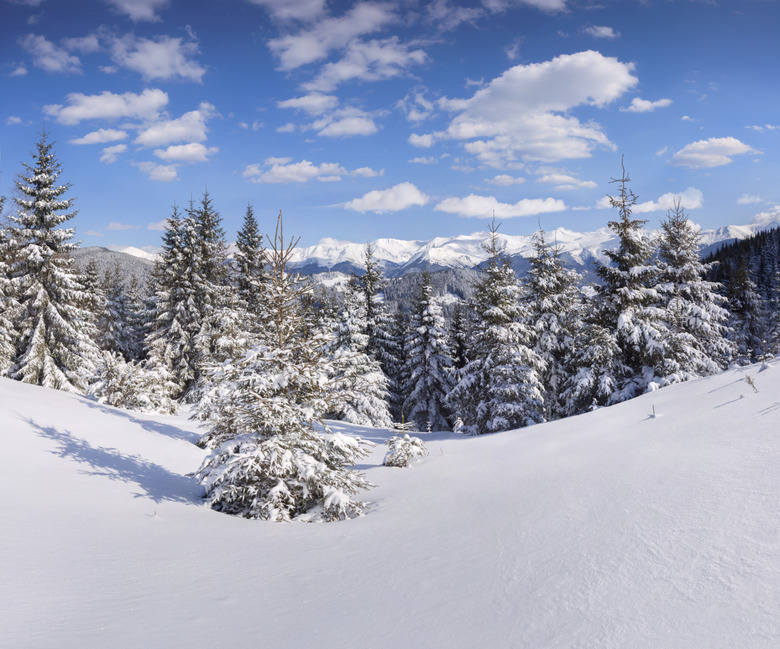 Beautiful winter landscape in the mountains.