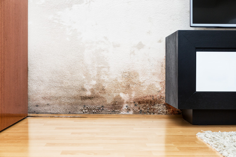 Damage caused by damp on a wall in modern house