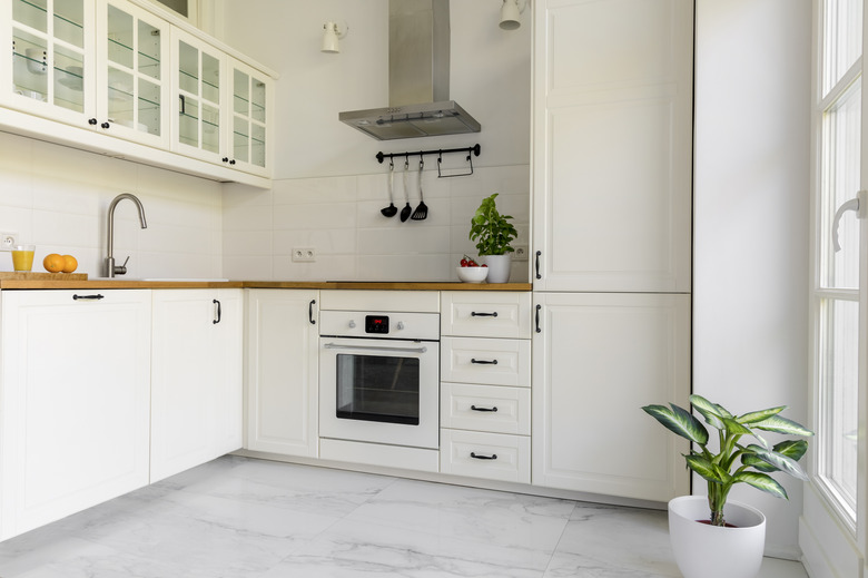 Plant in white kitchen interior with cabinets and silver cooker hood above countertop. Real photo