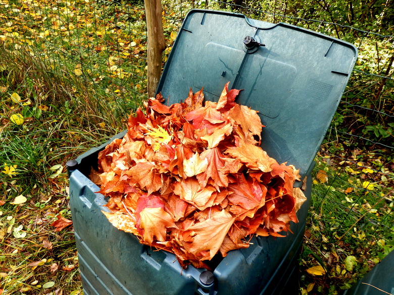 Leaves in compost bin