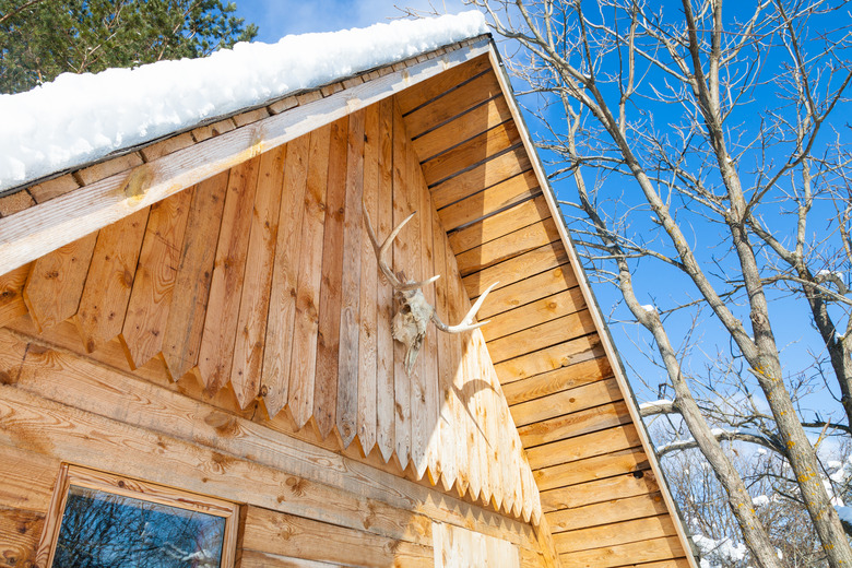 Cottage decorated by natural skull of young moose