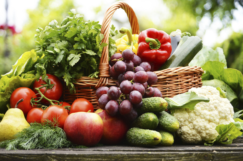 Variety of fresh organic vegetables in the garden