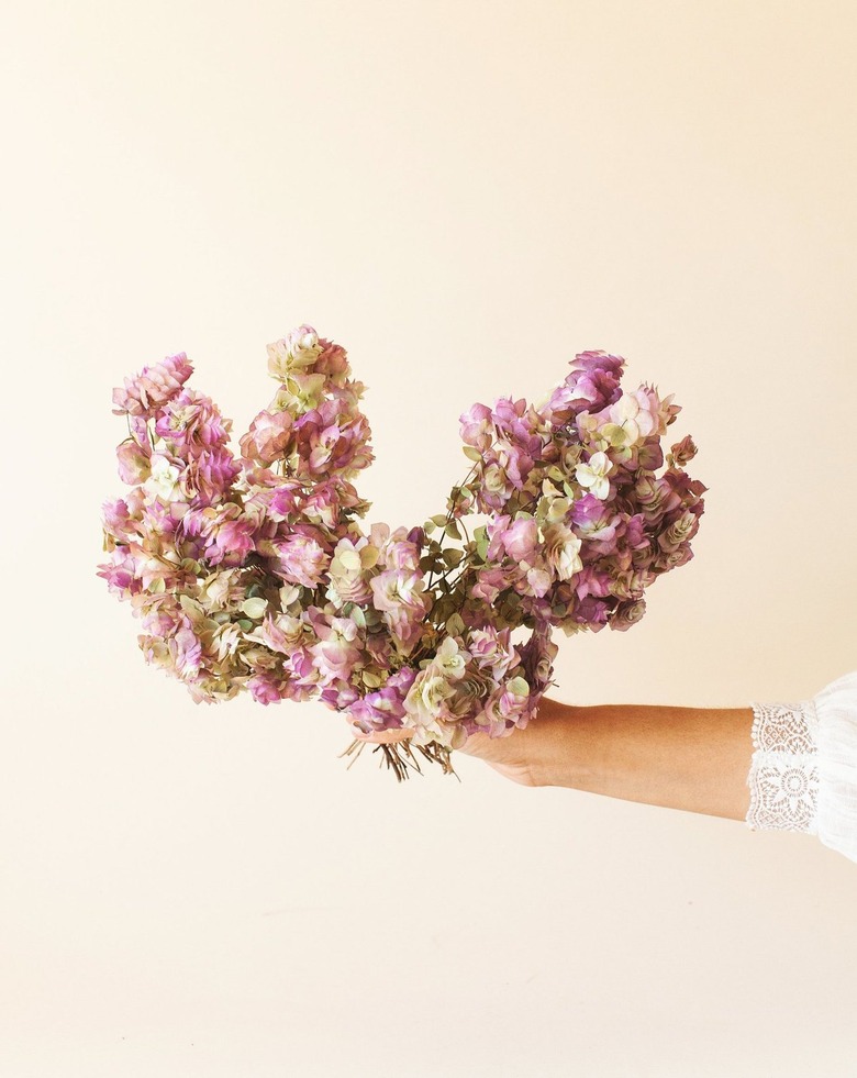 Dried Oregano Blooms