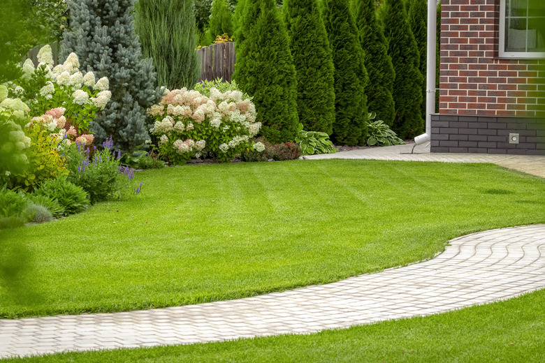 Freshly cut lawn.