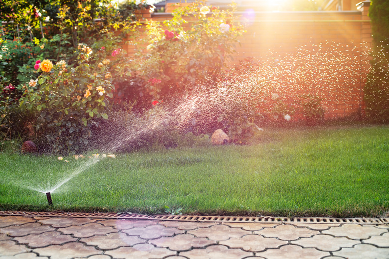 Green grass being watered with automatic sprinkler system on a sunny day.