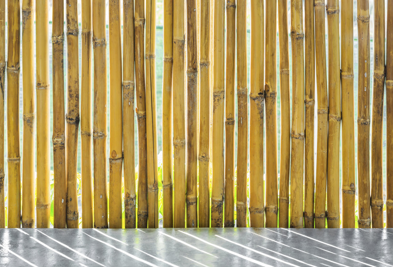 Bamboo fence