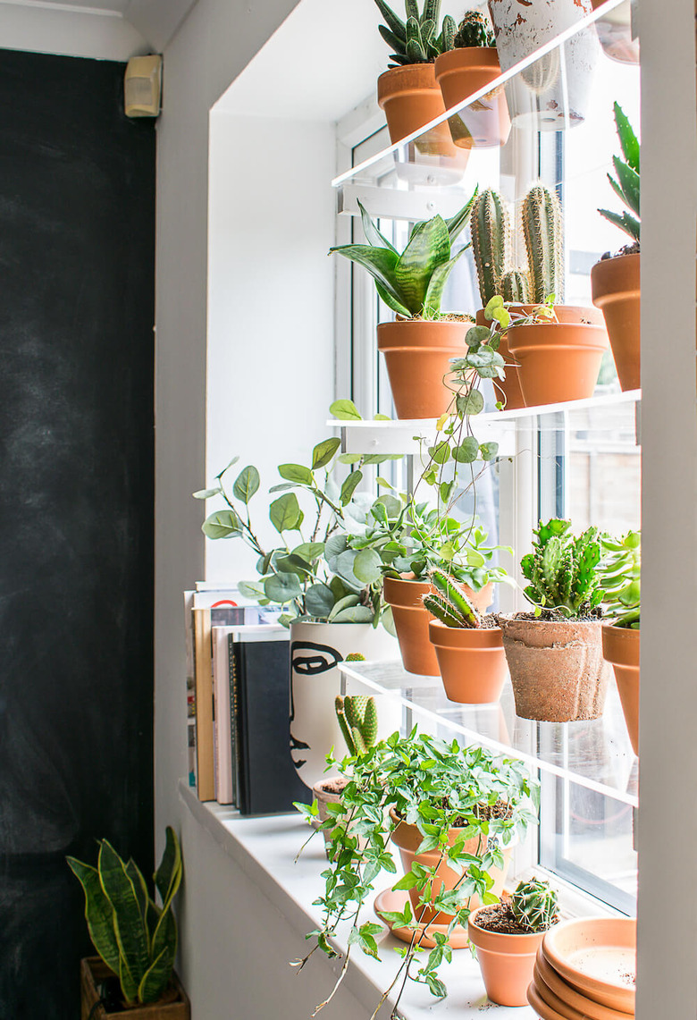 acrylic window plant shelves  with terra cotta plants