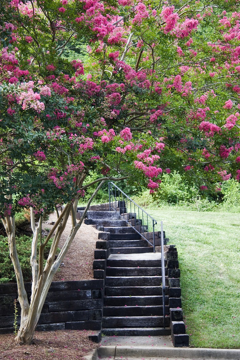 Condominium Steps