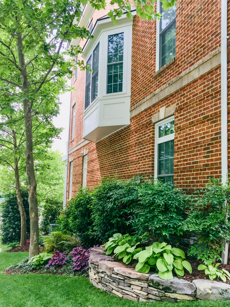 Townhouse Side Garden