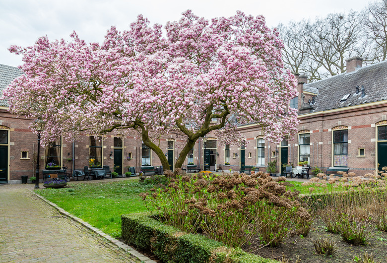 Ancient houses in Zutphe Holland