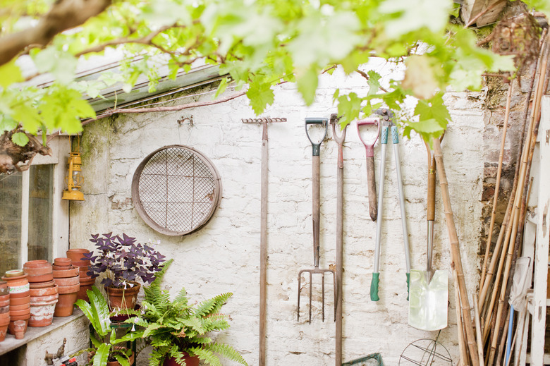 Tools hanging on wall of garden shed