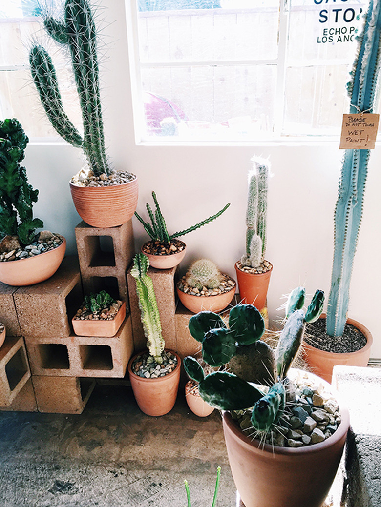 cinderblock cacti display