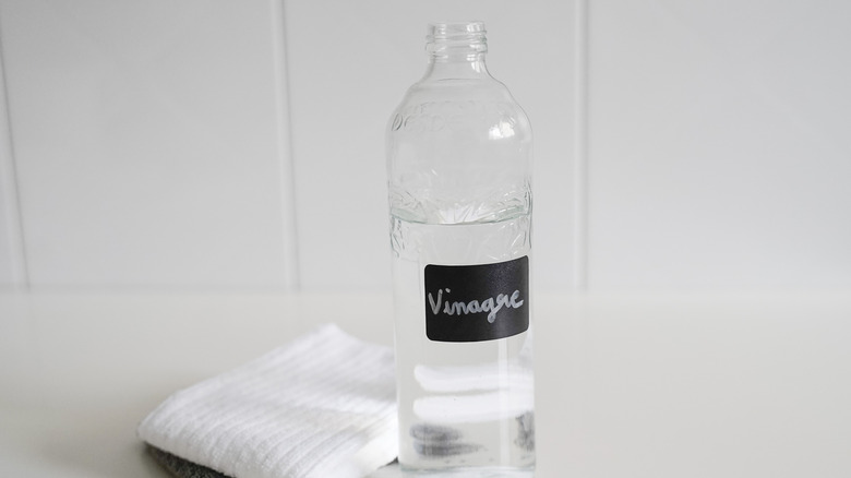 Vinegar bottle on a counter next to white rag with white background