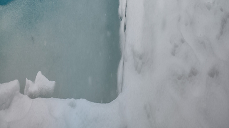 frozen in-ground pool in winter