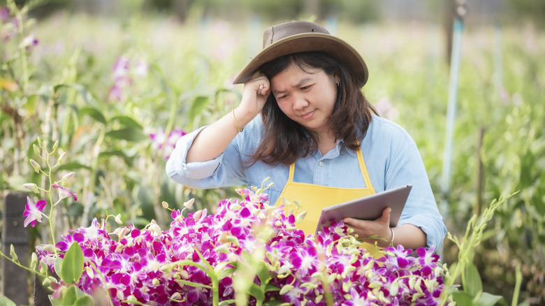 confused looking woman sitting amongst pink flowers