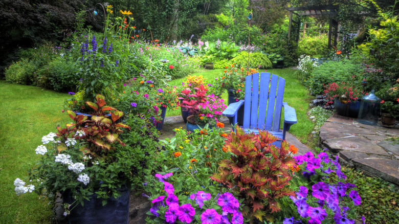 colorful flower garden with blue chair