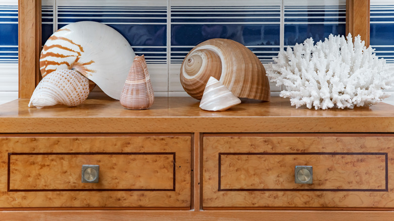 seashells decorated on a cabinet