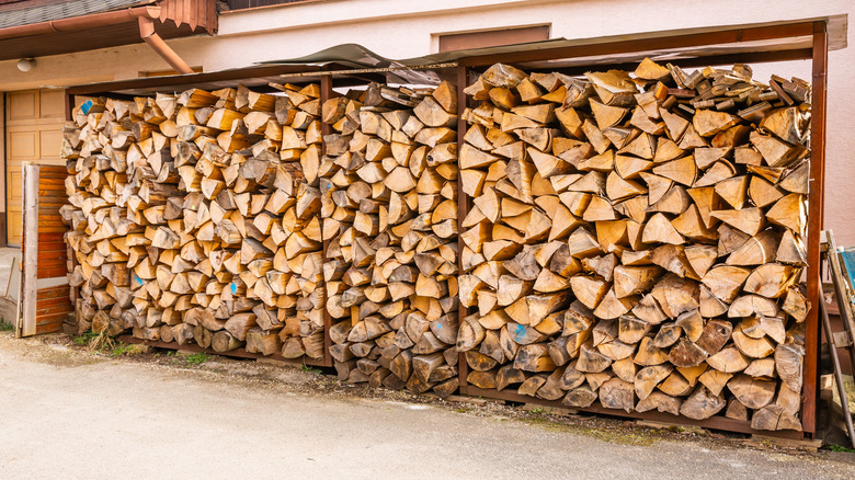 Large stack of firewood being seasoned outdoors