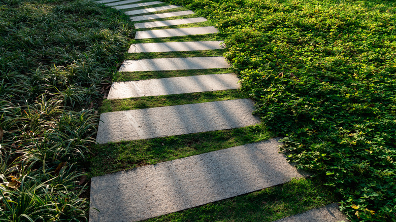 Pavers in yard