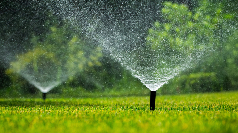 In-ground sprinklers running on green lawn