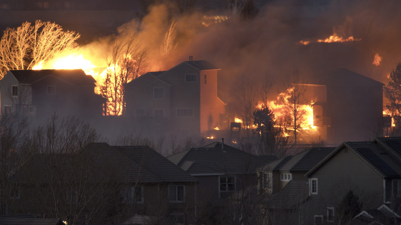 homes in a wildfire in colorado