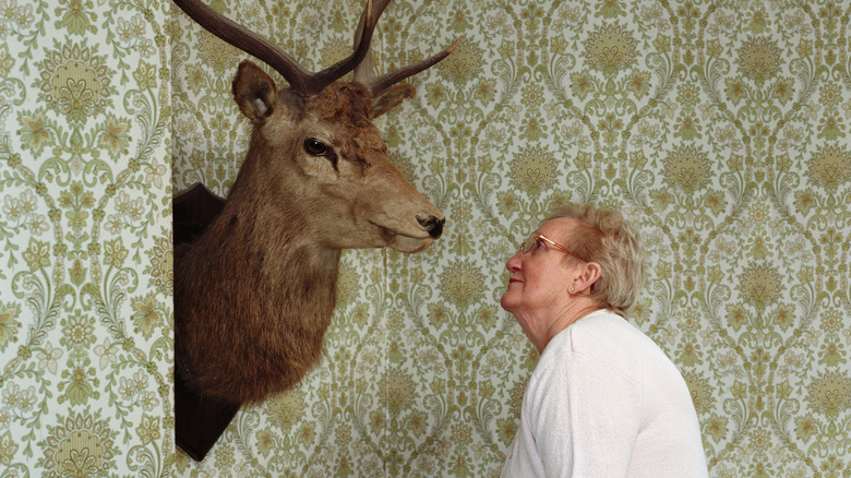 Woman inspecting taxidermied deer head