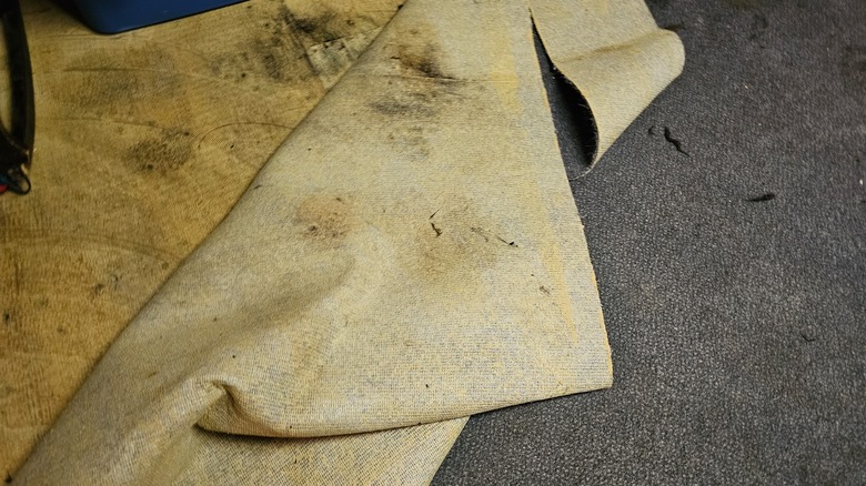 Gray wall-to-wall carpet is pulled back to reveal dirt and mold underneath