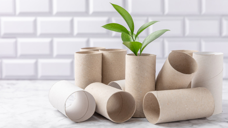 A pile of empty toilet paper rolls sit on a white countertop with white subway backsplash. There are leaves protruding from the top of one of the rolls.