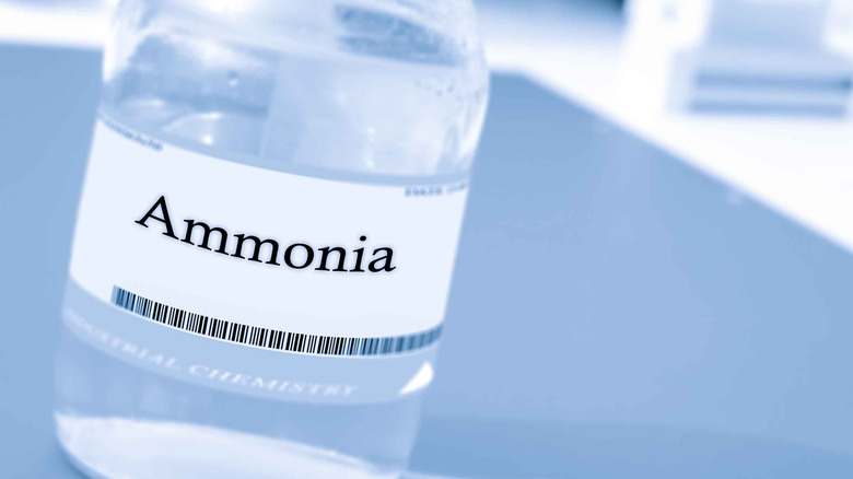 Bottle of ammonia