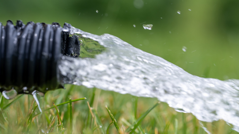 Residential sump pump drain discharging water onto a lawn