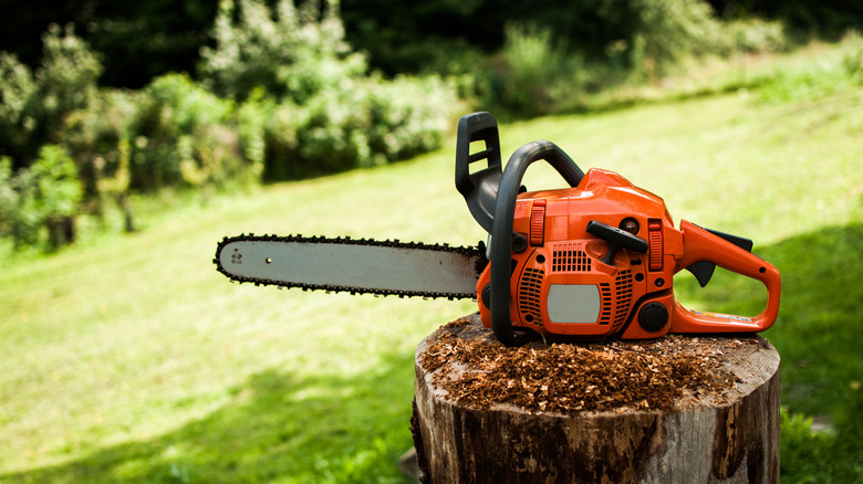 Gas chainsaw on a wooden stump