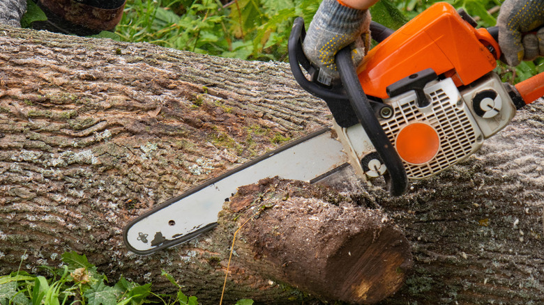 Man cutting a fallen tree with a chainsaw