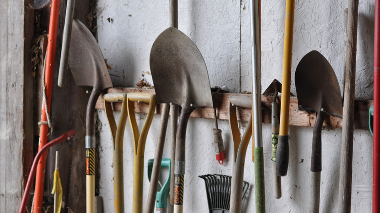 Garden tools hanging in a tool shed