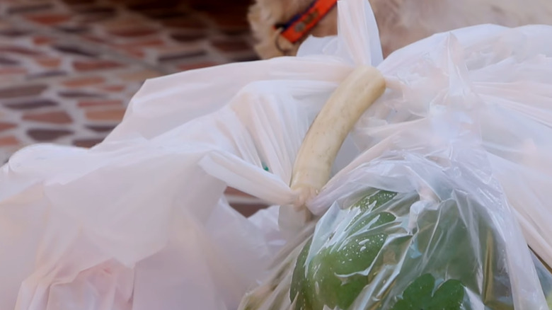 Garden hose segment used as handle to carry plastic grocery bags